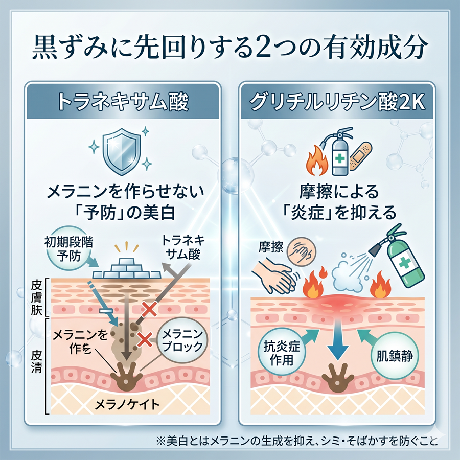イビサクリームの2つの有効成分を図解。トラネキサム酸によるメラニン予防とグリチルリチン酸2Kによる抗炎症の働き